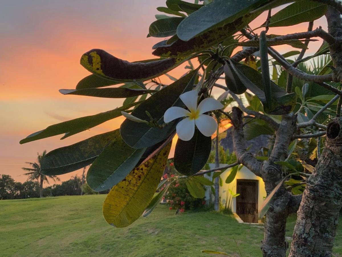 Balian Prana Hotel Selemadeg  Buitenkant foto